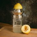 ODonnell Moonshine | Zitronenpresse (Aufsatz)